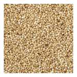 FARM 29- Fresh from Farmers Little Millet (1000 Gm) (TAOPL-1043)